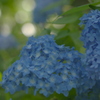 時には優しく
