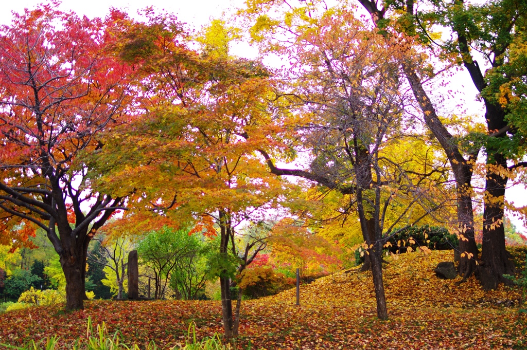 札幌　中島公園　８