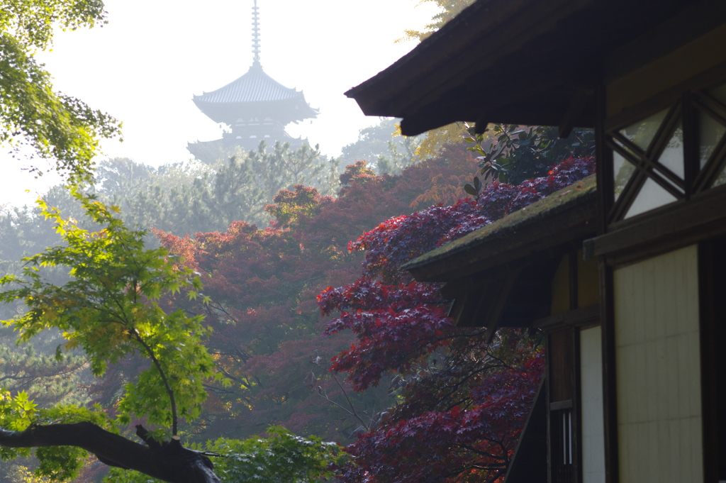 霞む三重塔