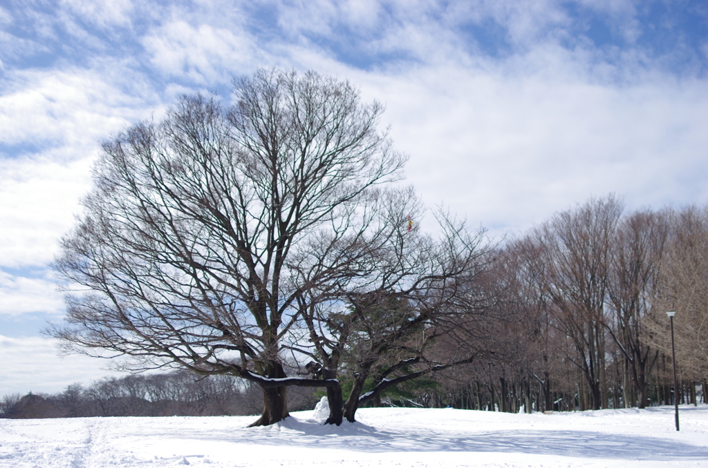 雪のち快晴
