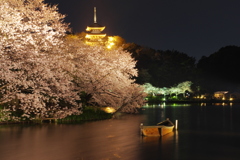 桜の国への旅立ち