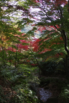 内苑の頂