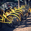 自転車社会再び