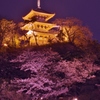 桜の上の金の塔
