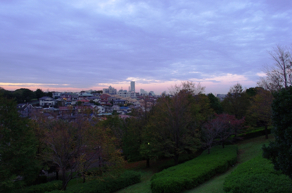 YOKOHAMA 秋の夕暮れ