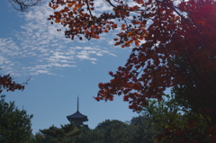三溪園だより