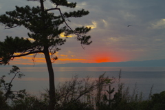 葉山の海岸