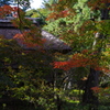 茅葺き屋根と紅葉
