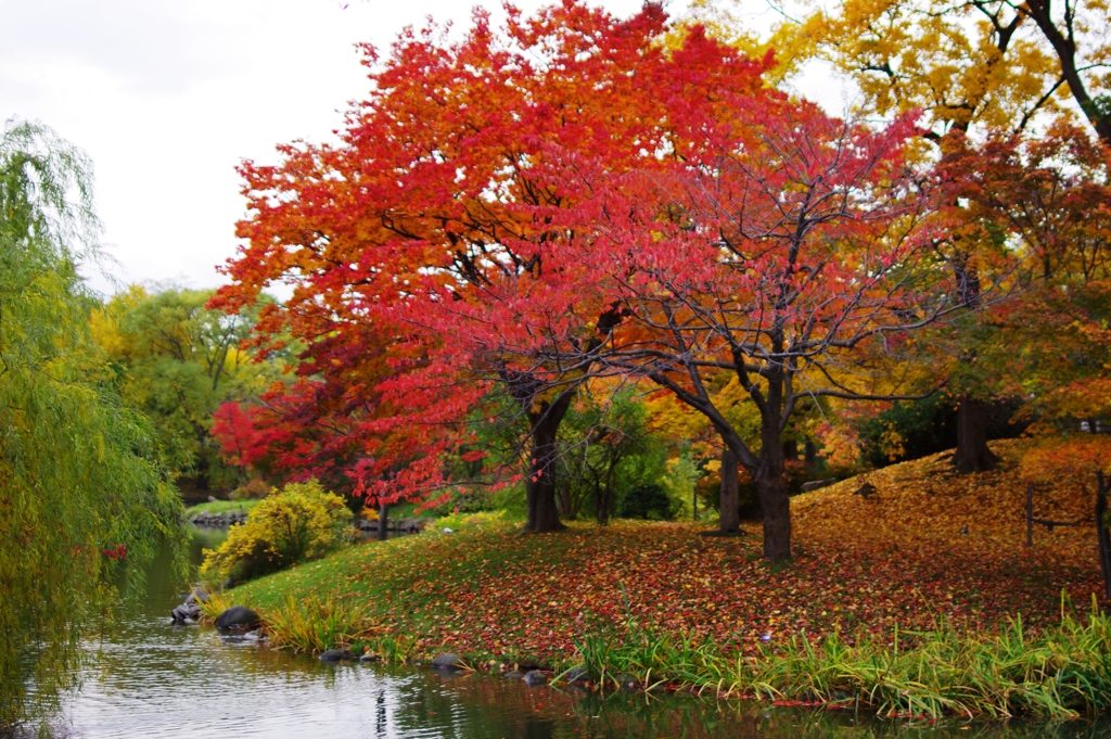 札幌　中島公園　１０