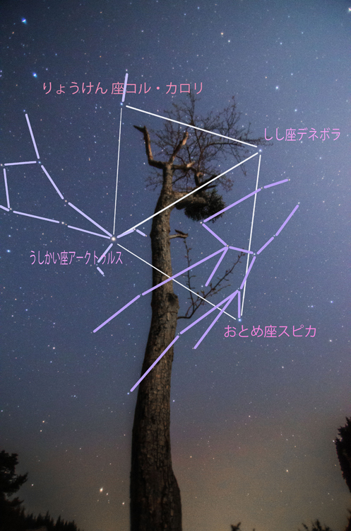 春のダイヤモンド　（星座の線付き）