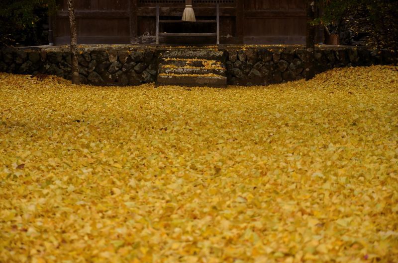 岩上神社　その後　その2