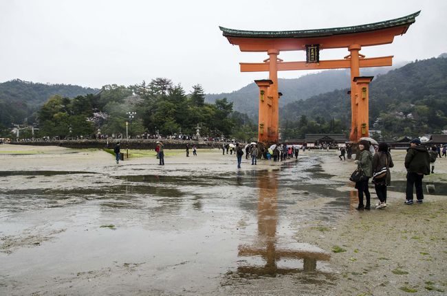雨の宮島　～干潮～