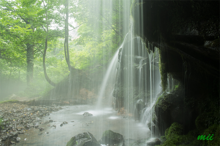 雨の滝　その1