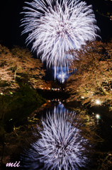 桜と花火　その1