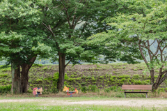 遊び場