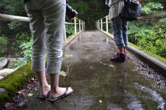 雨散歩