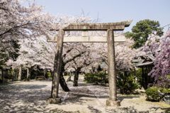 姫路神社