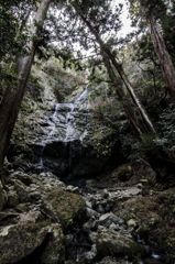 飛龍の滝　その1