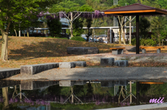 公園