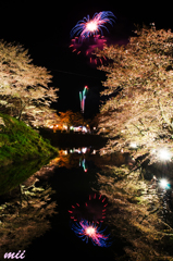 桜と花火　その4