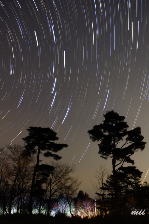 北斗七星　グルグル