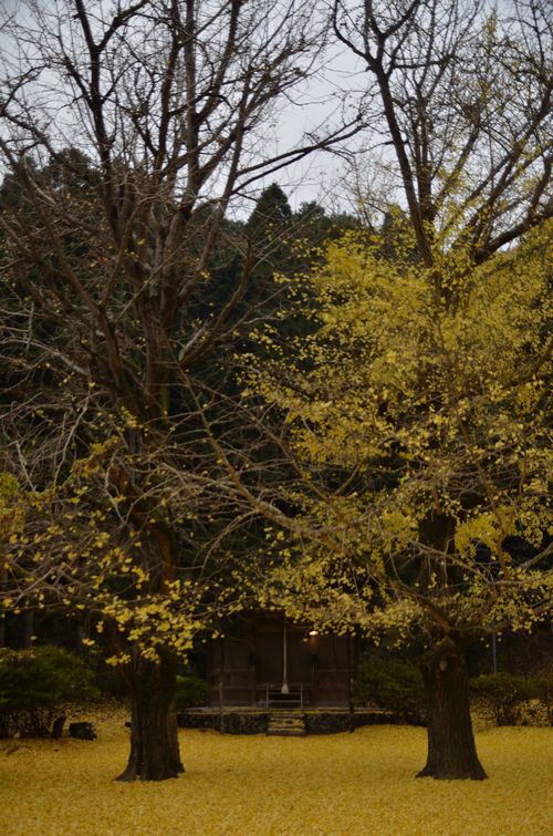 岩上神社　その後　その1