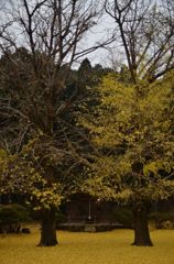 岩上神社　その後　その1