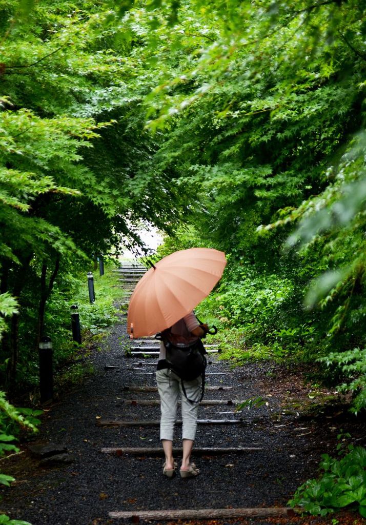 雨散歩　その1