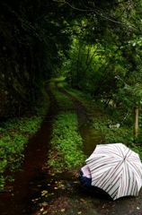 雨散歩　その3