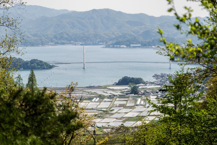 大浦森林公園　その3
