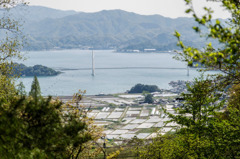 大浦森林公園　その3