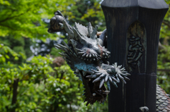 龍