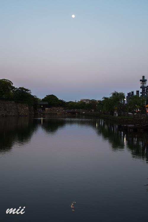 夕暮れの月