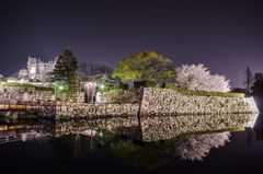 夜の姫路城