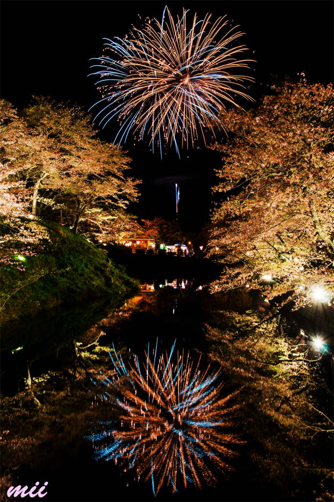 桜と花火　その2