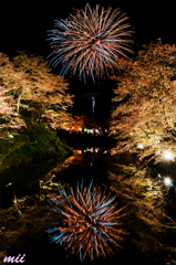 桜と花火　その2