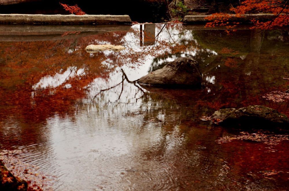 水面　その3