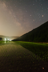 田植え後