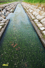 水路