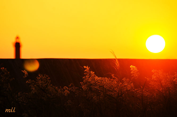 夕日