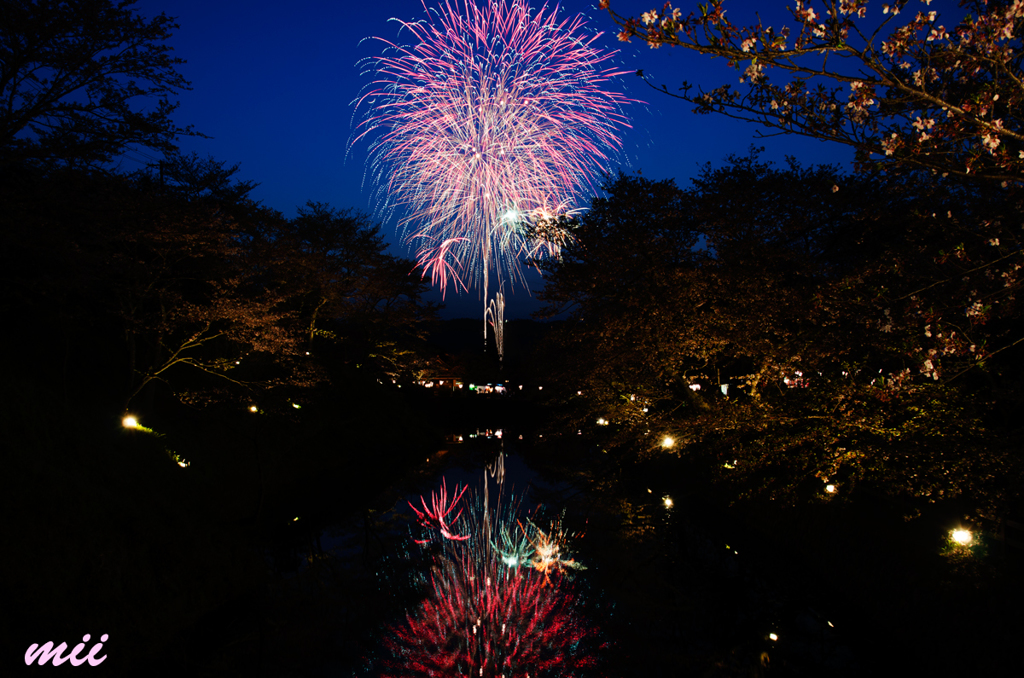 桜と花火　その7