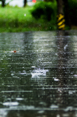 雨の公園