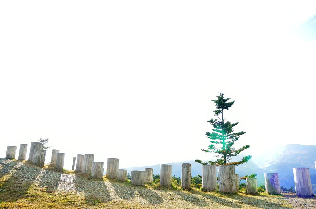 光
