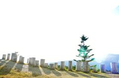 光