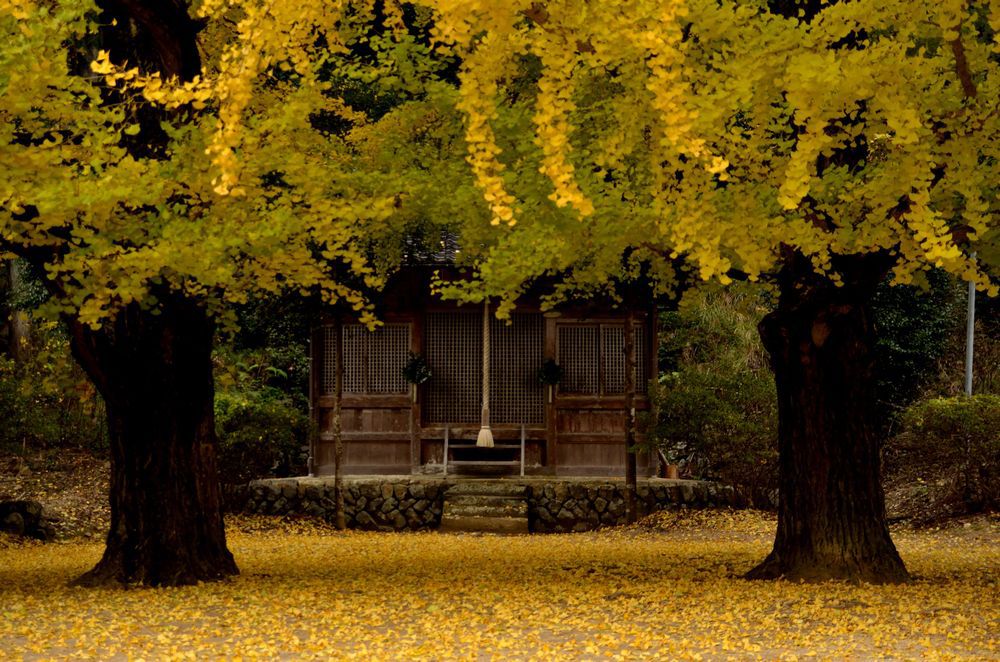 岩上神社　その2