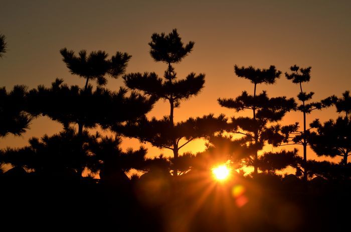 夕陽　9.17