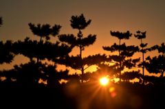 夕陽　9.17