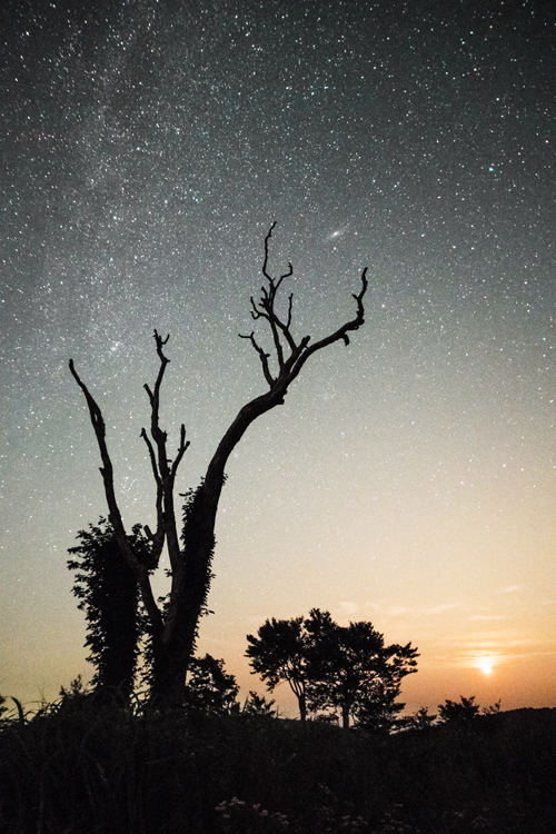アンドロメダ星雲を掲げて