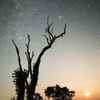アンドロメダ星雲を掲げて
