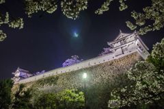 西の丸を下から